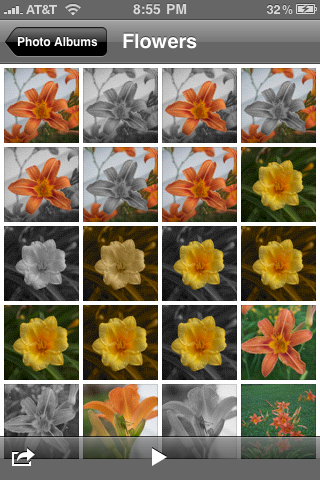 IMG_0032.PNG