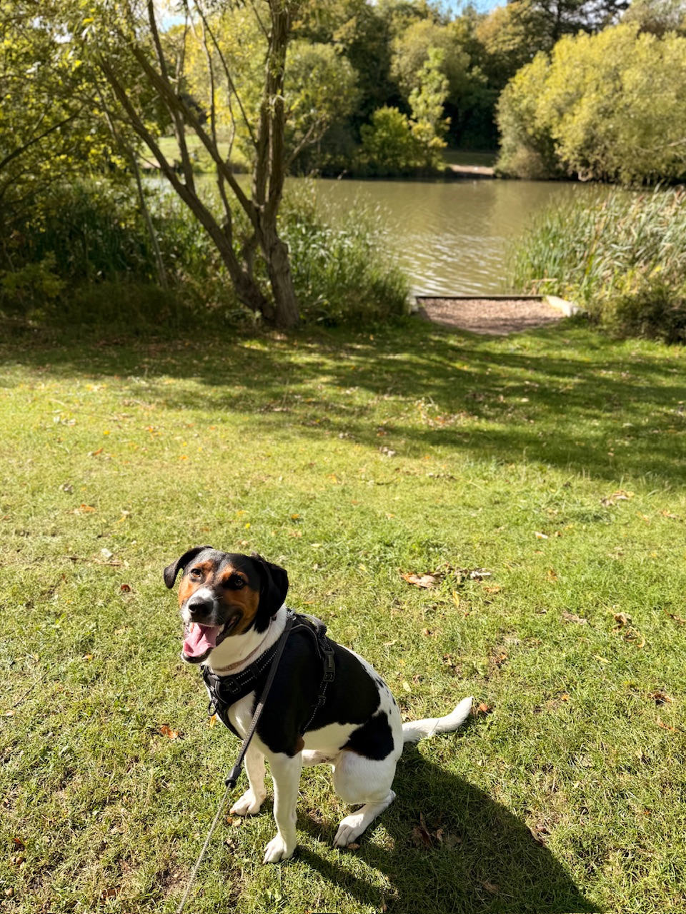 IMG_0035.jpeg