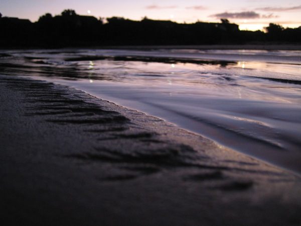 IMG_0038.jpg