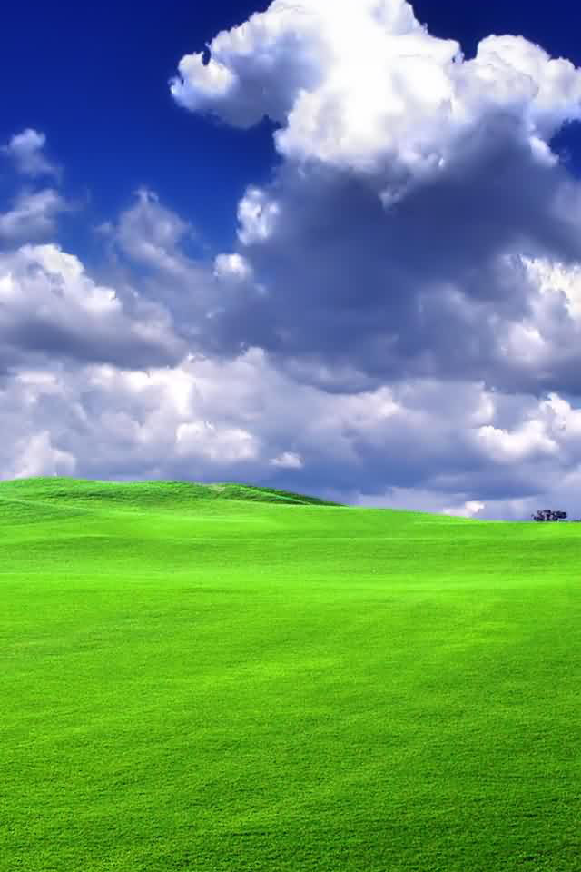 IMG_0050.png