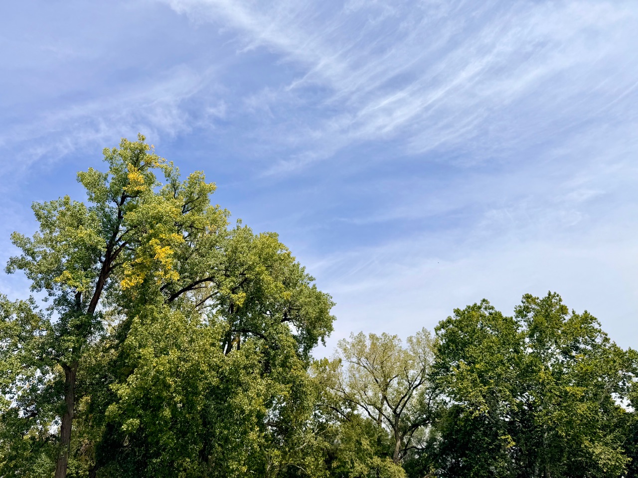 IMG_0053.jpeg