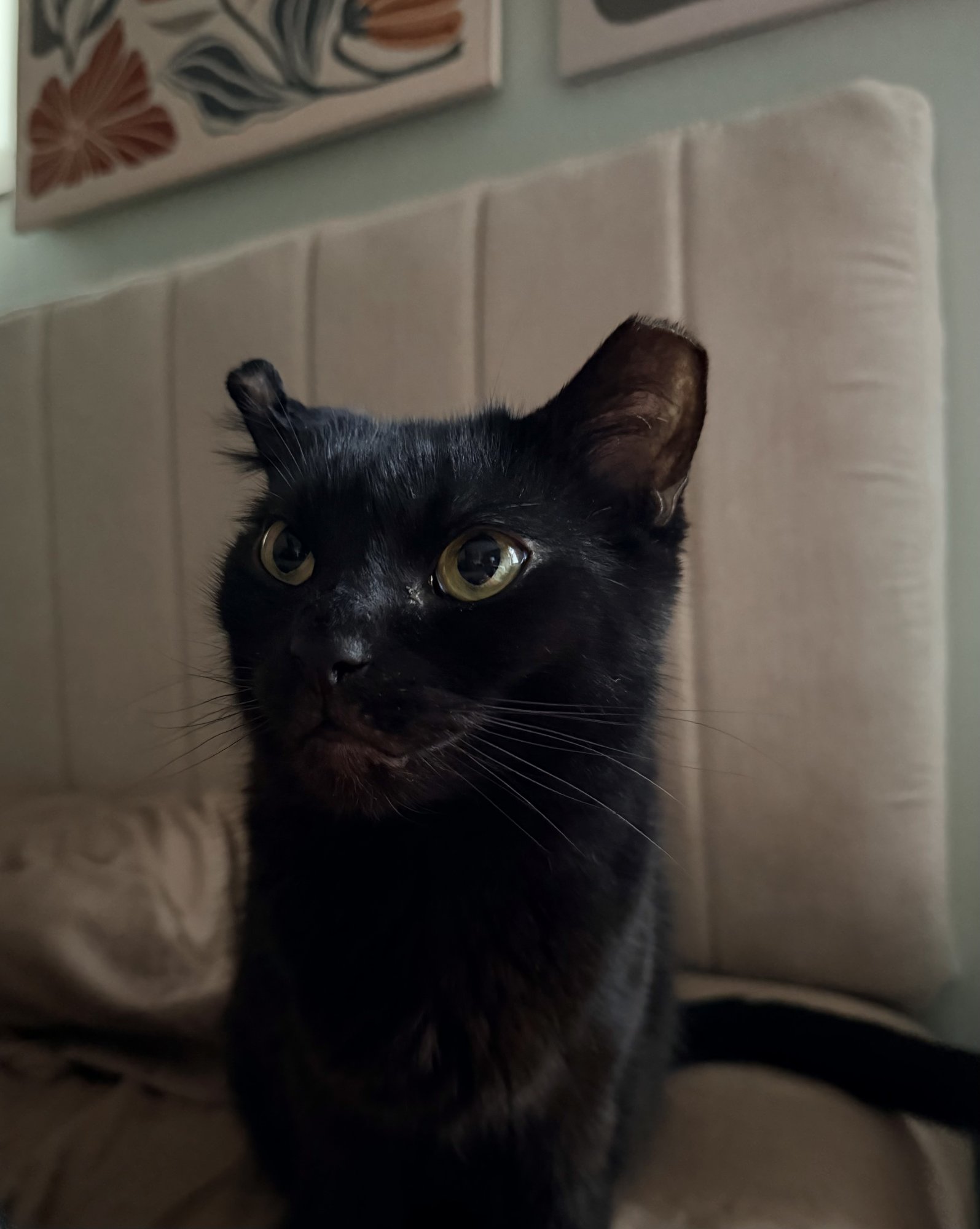 IMG_0058.jpeg