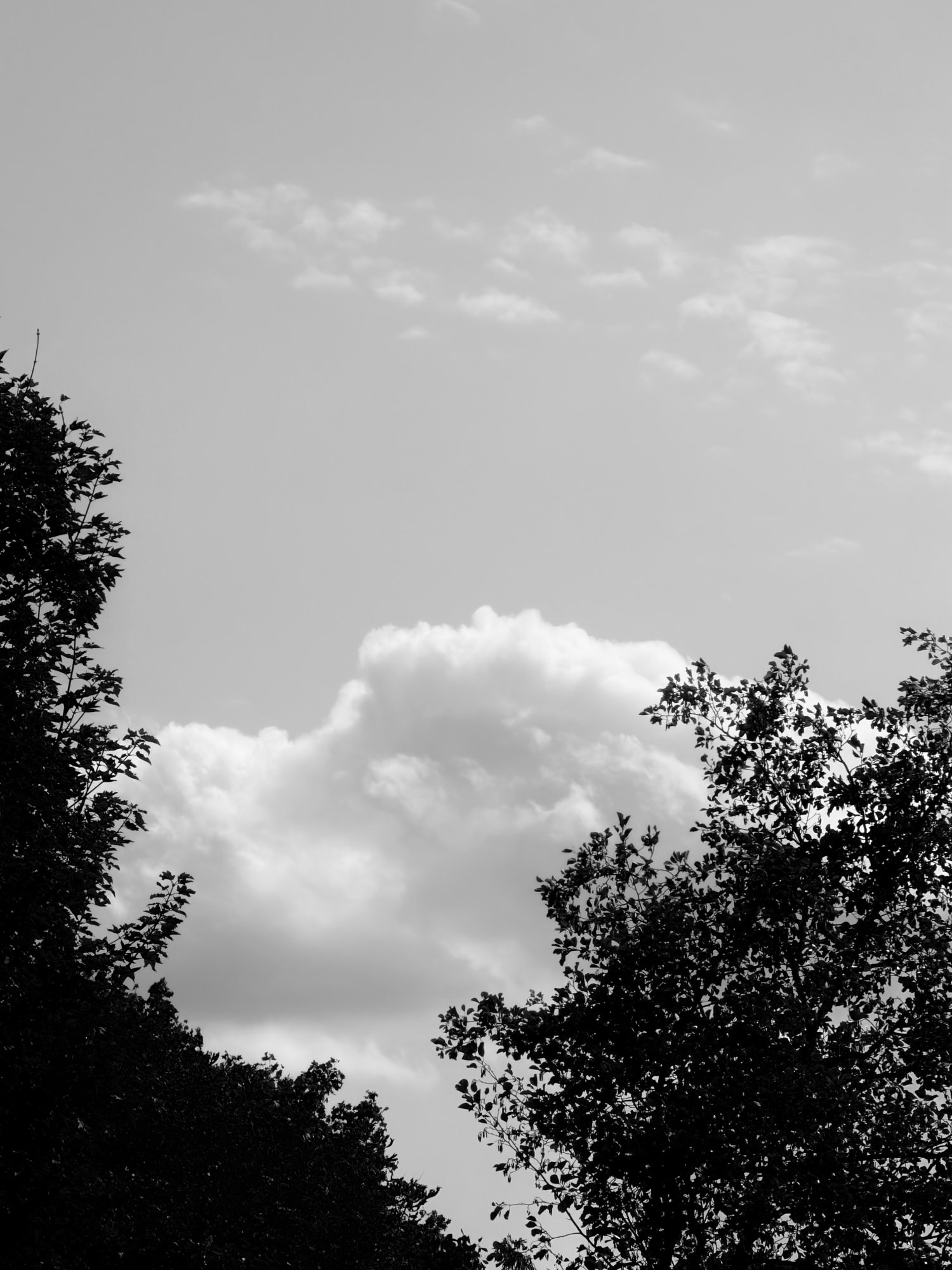 IMG_0075.jpeg