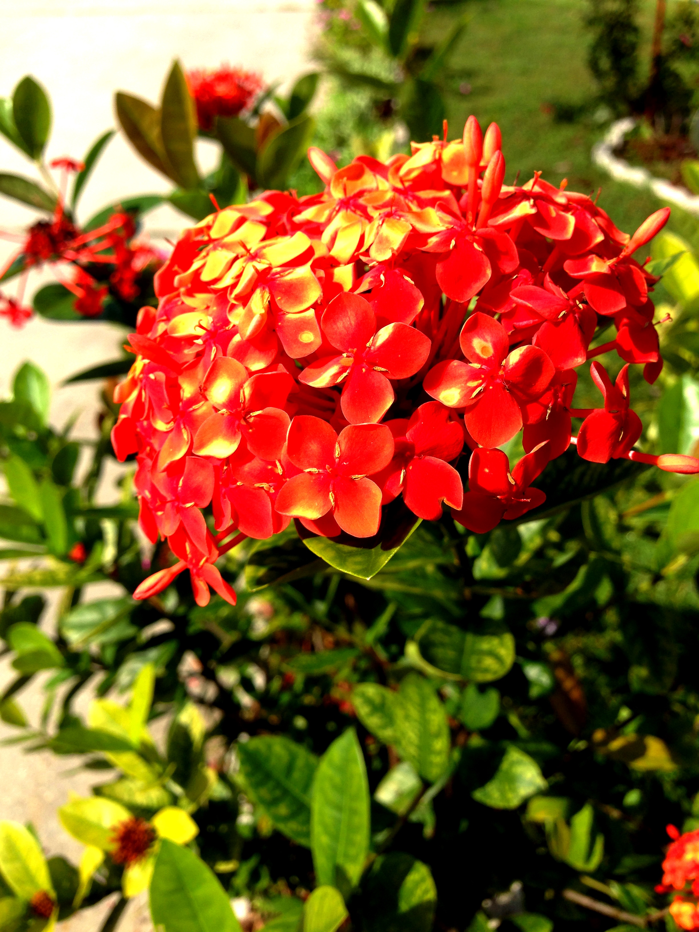 IMG_0082.JPG