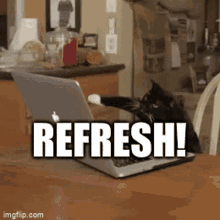 IMG_0092.gif