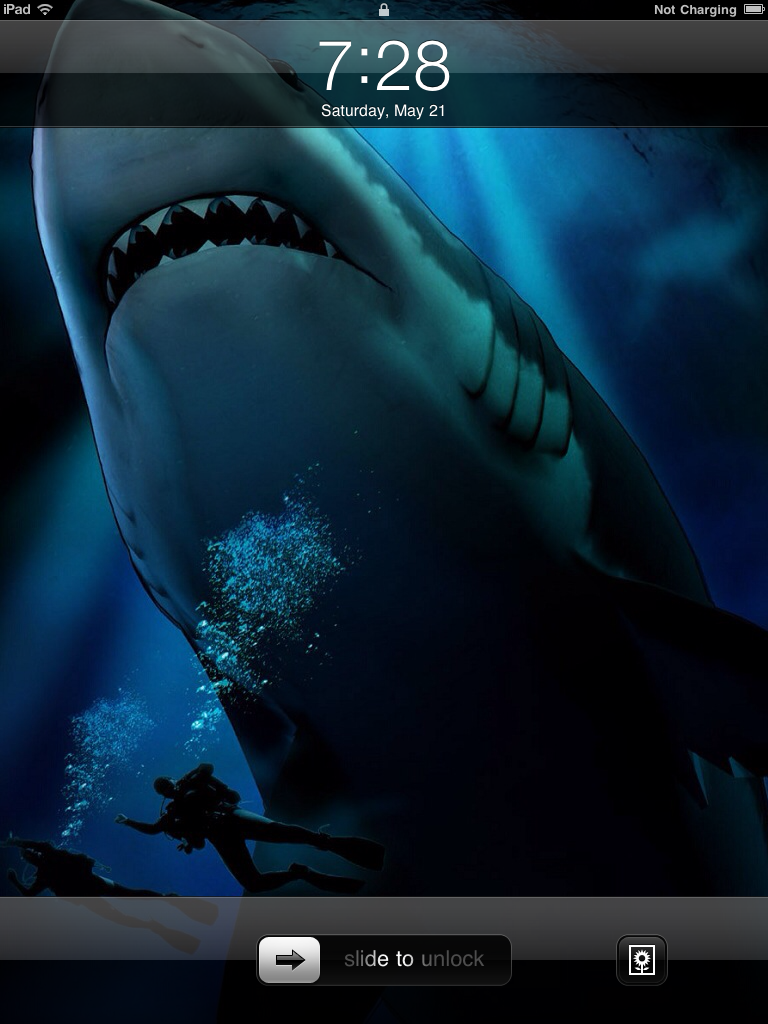 IMG_0093.PNG