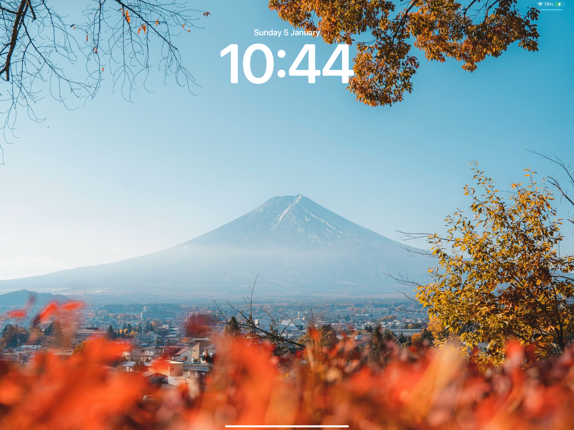 IMG_0098.PNG