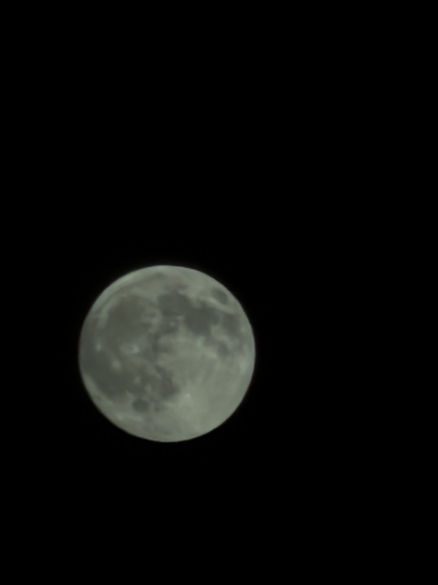 IMG_0101.jpeg
