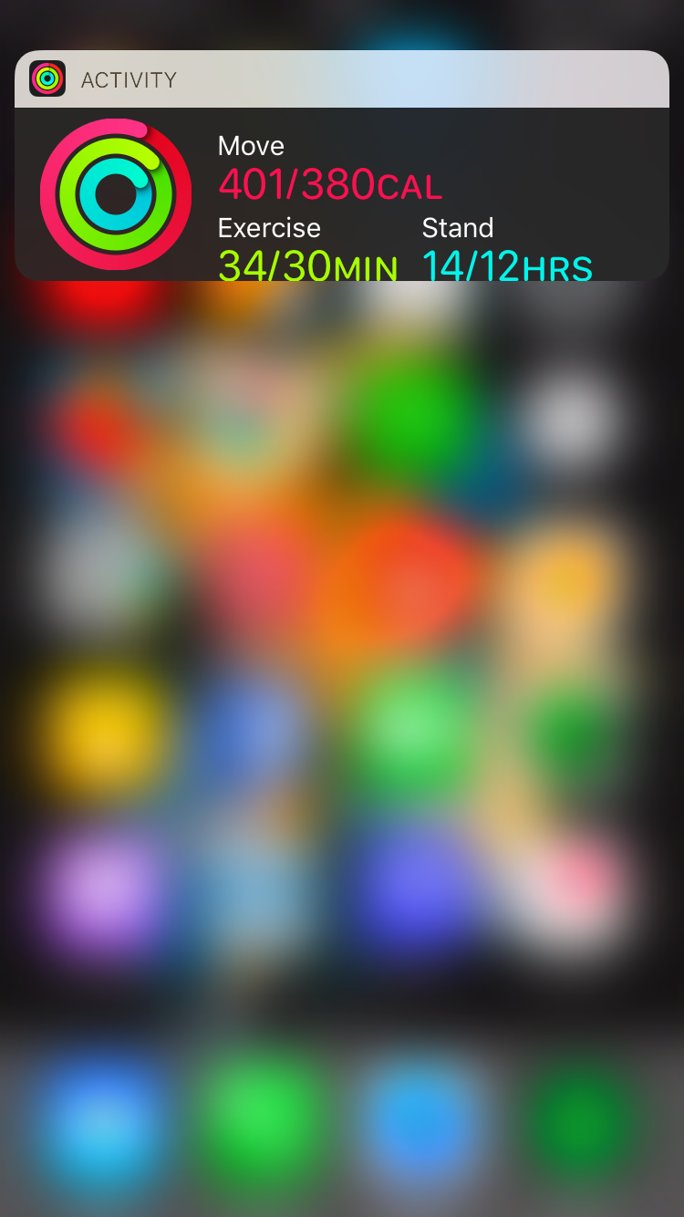 IMG_0105.PNG