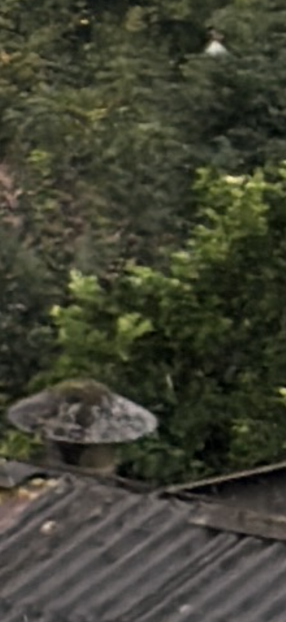 IMG_0106.png