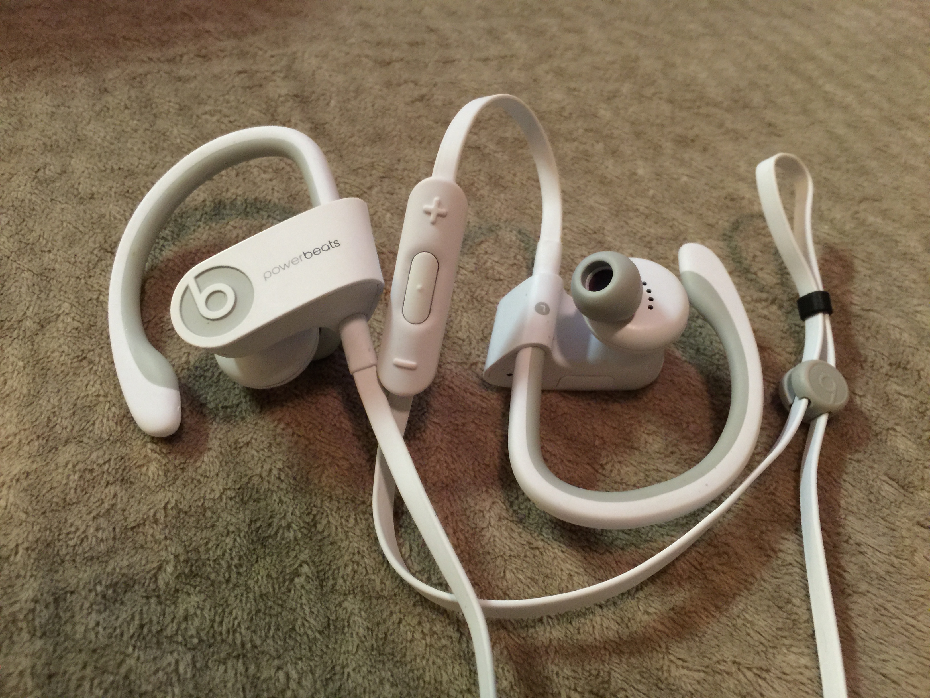 IMG_0117.jpg