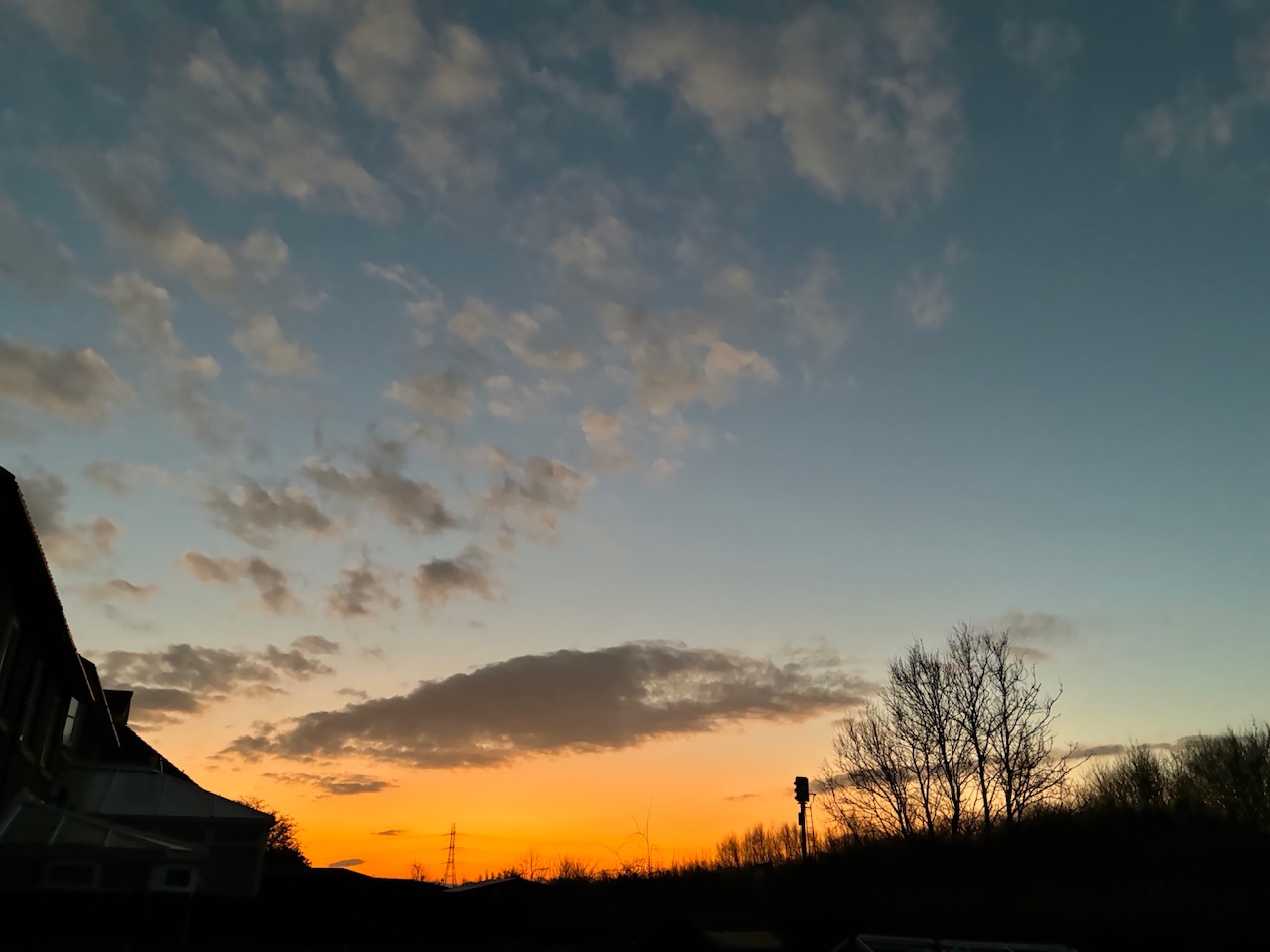 IMG_0124.jpeg