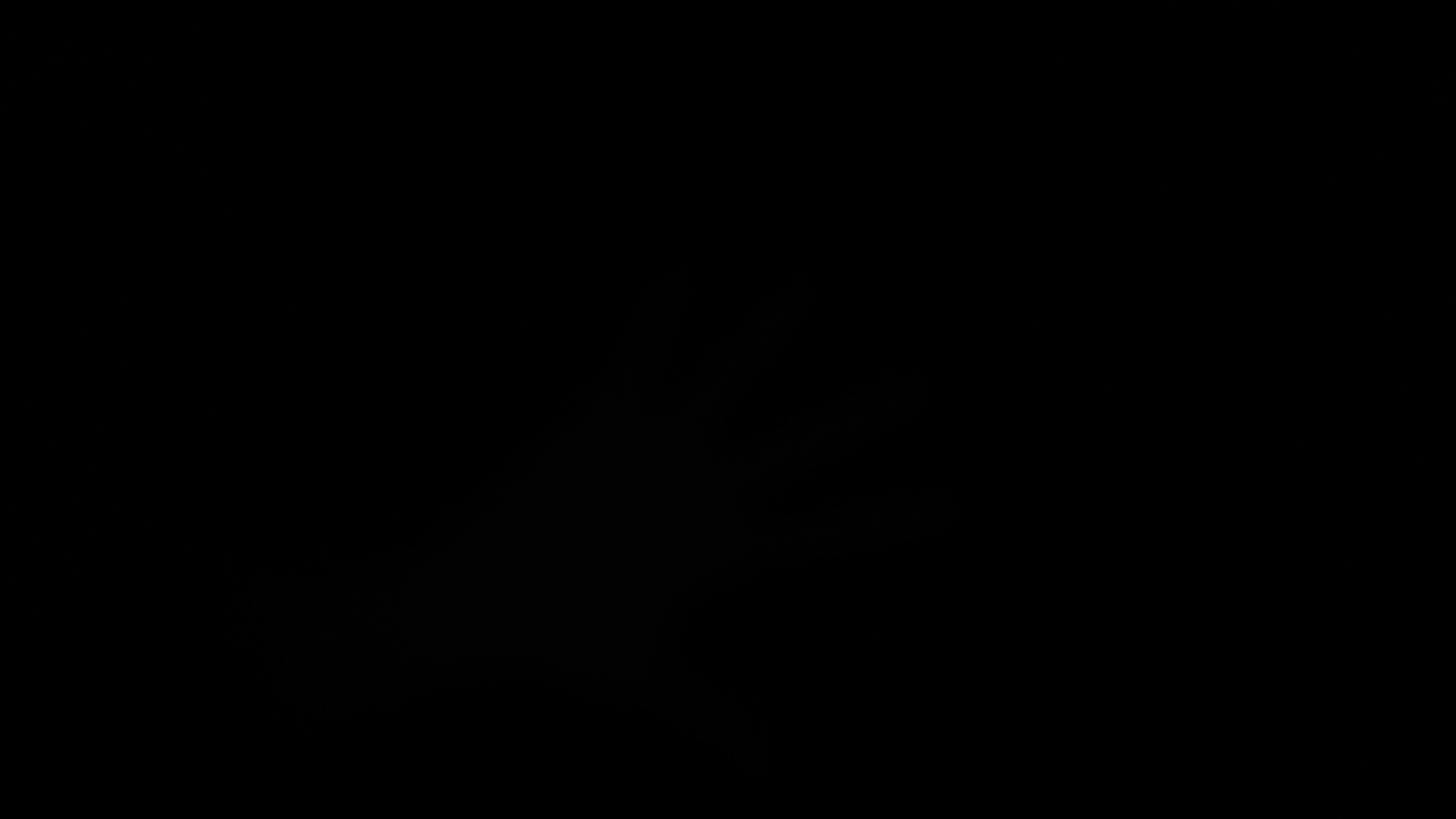 IMG_0140.png