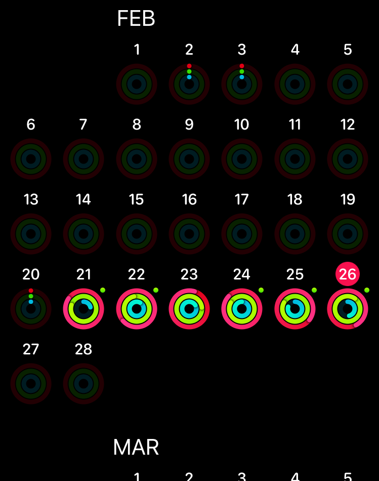 IMG_0151.PNG
