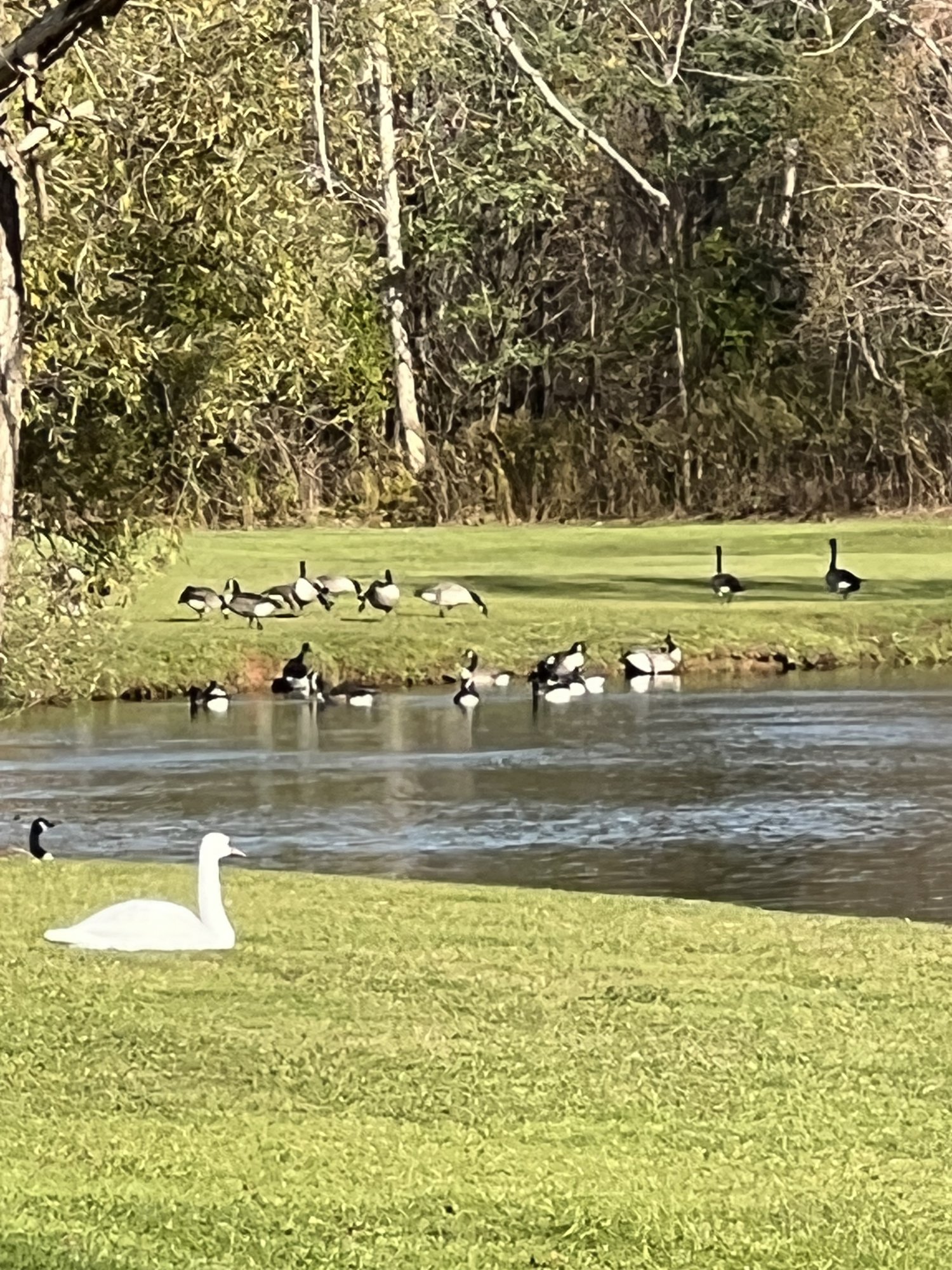 IMG_0174.jpeg