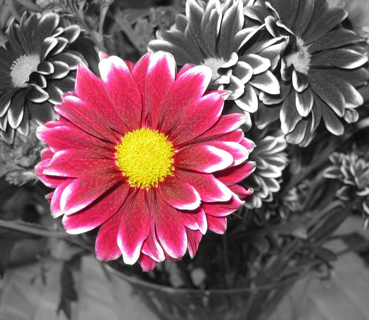 IMG_0179.png