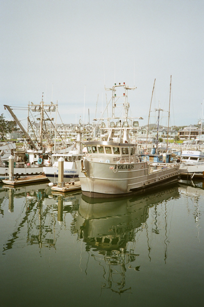 IMG_0187.jpg