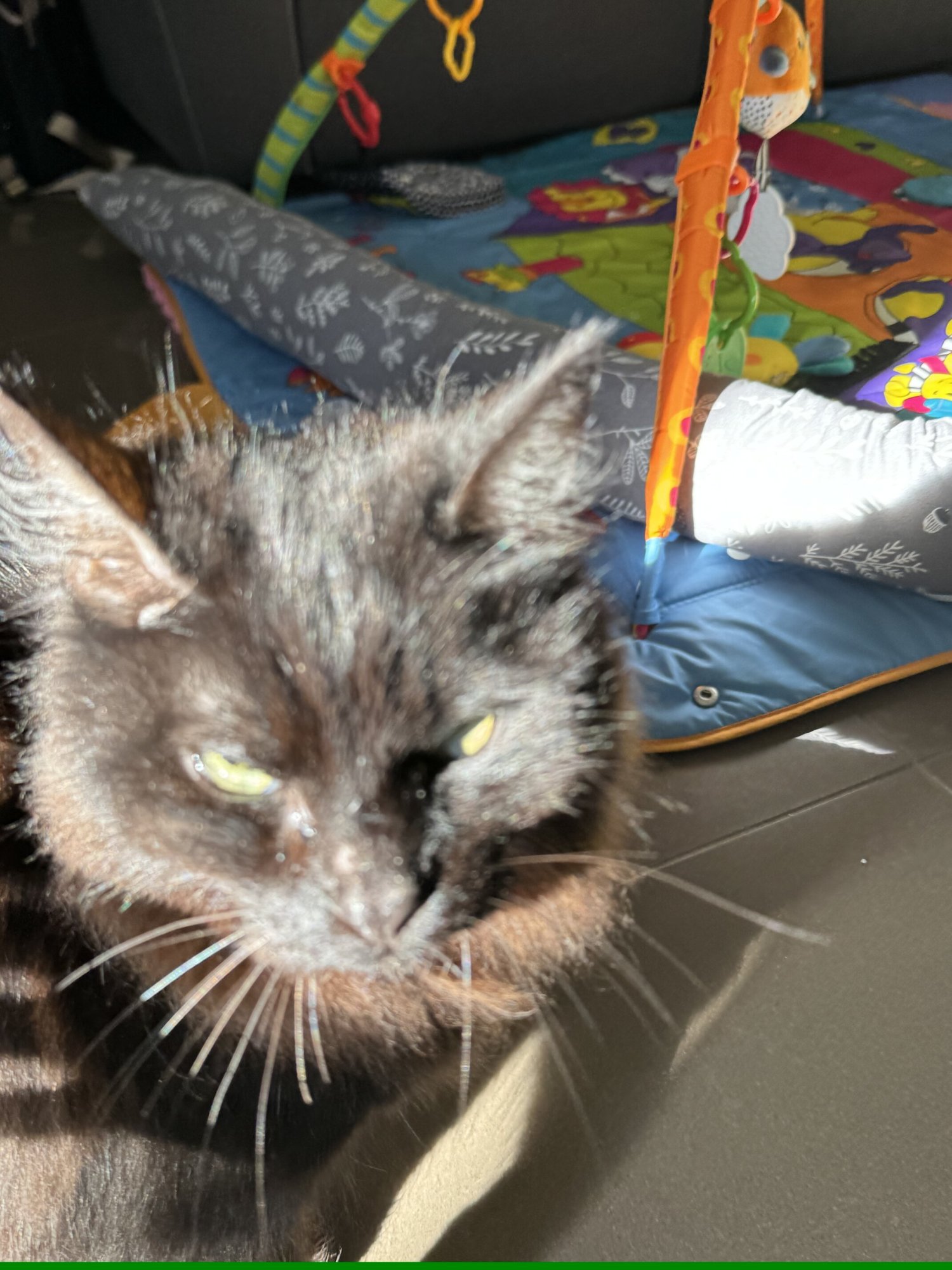 IMG_0221.jpeg