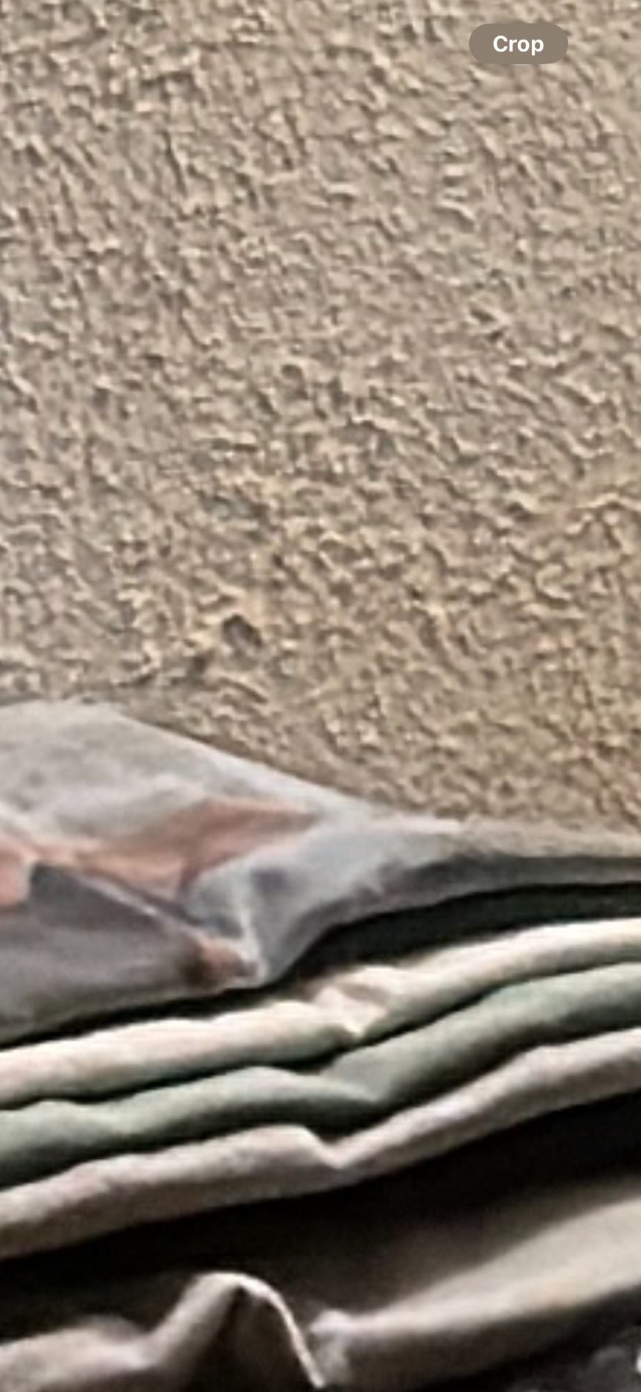 IMG_0241.png