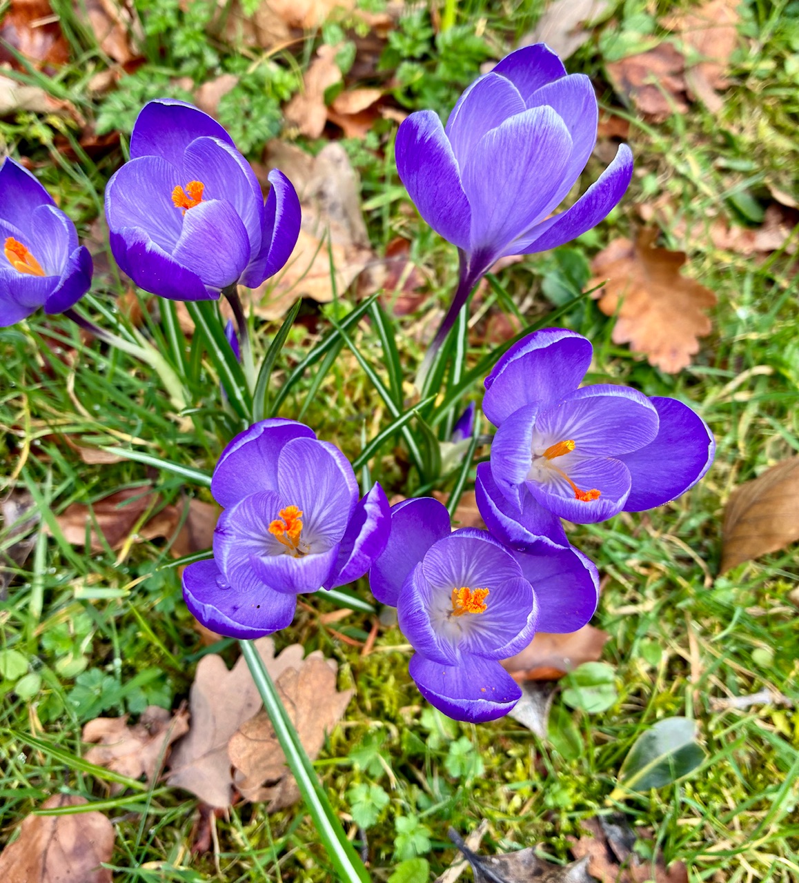 IMG_0248.jpeg