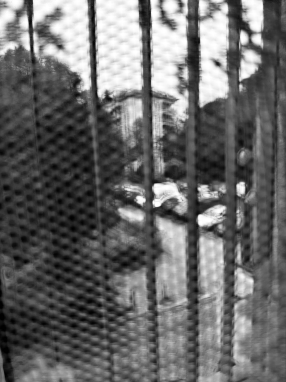 IMG_0297.jpeg