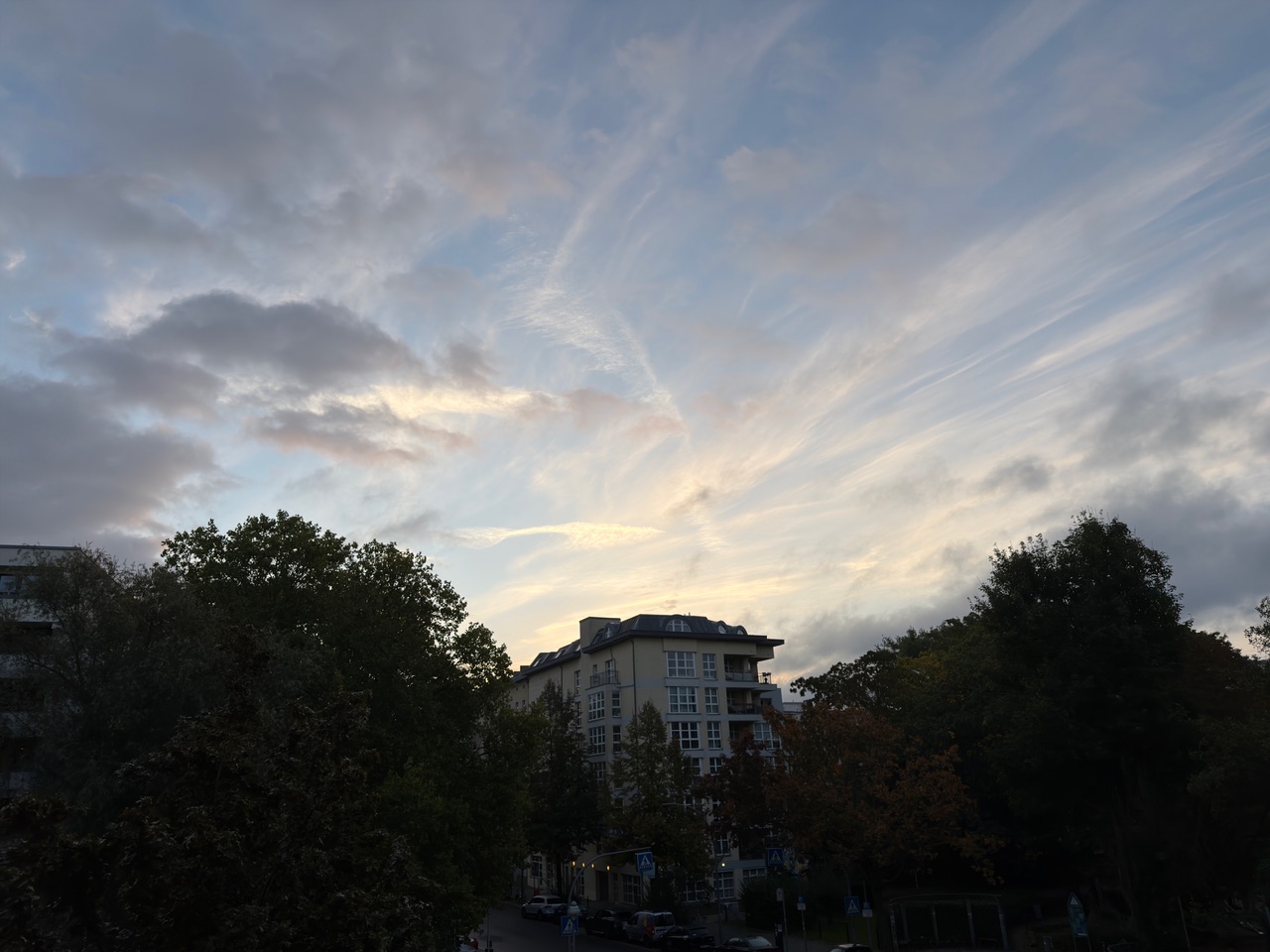 IMG_0316.jpeg