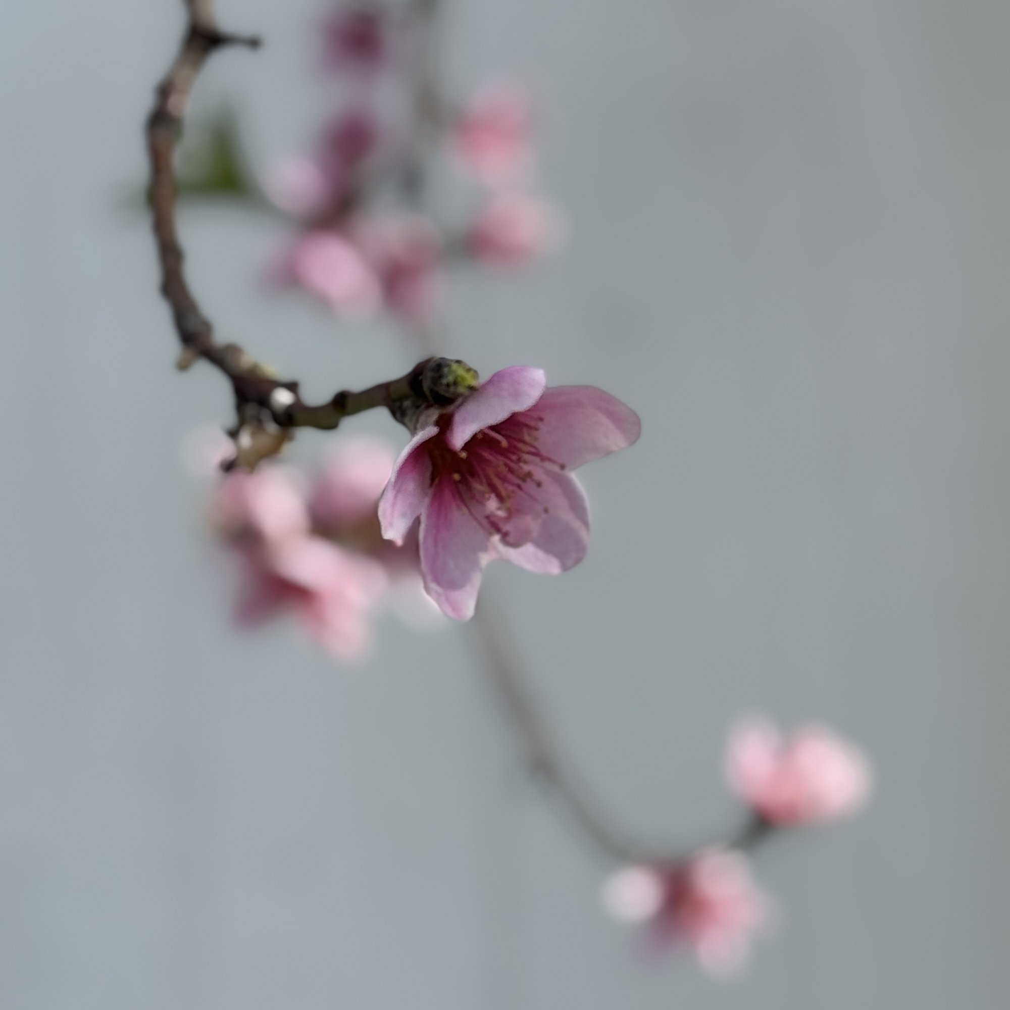 IMG_0370.jpeg