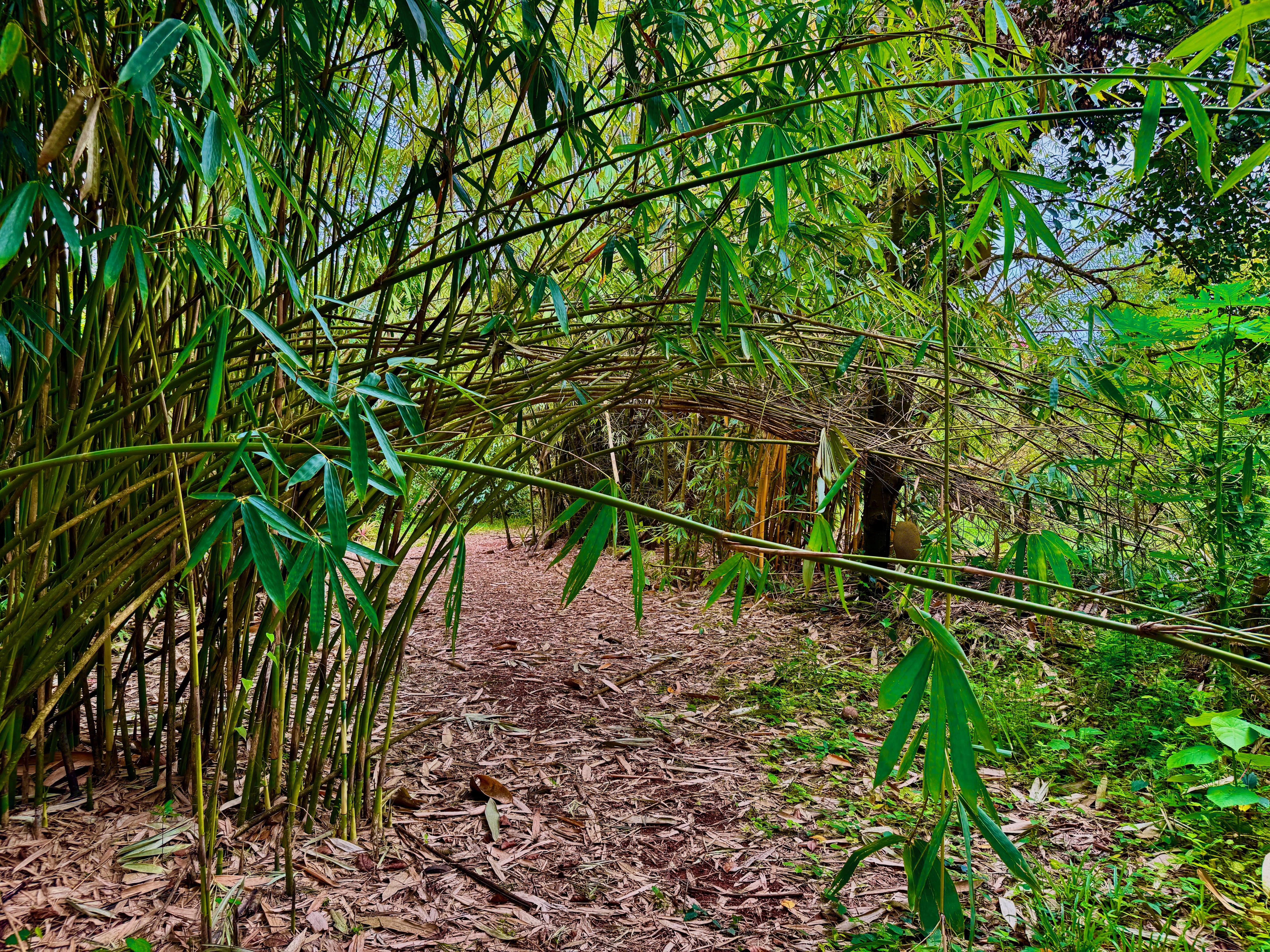 IMG_0442.jpeg