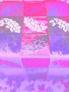 IMG_0476.jpg