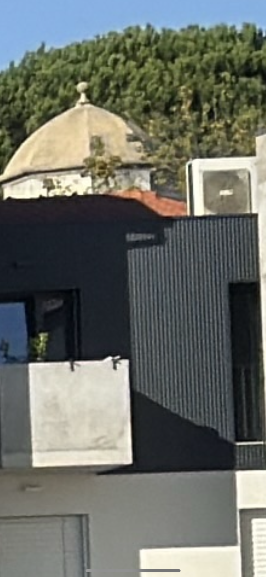 IMG_0503.png