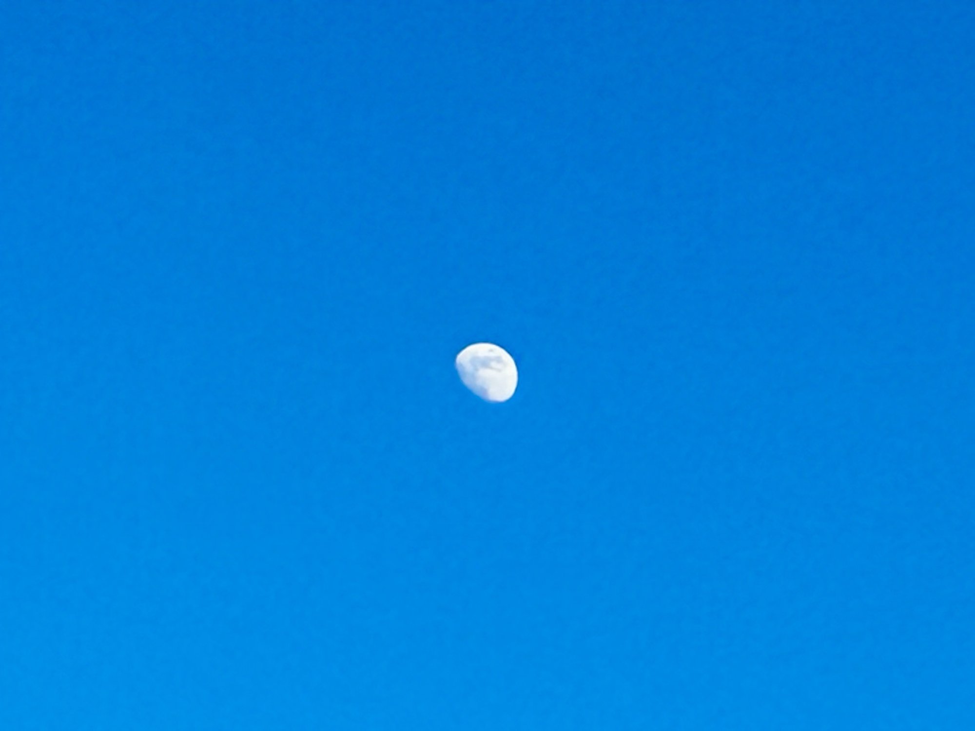 IMG_0512.jpeg
