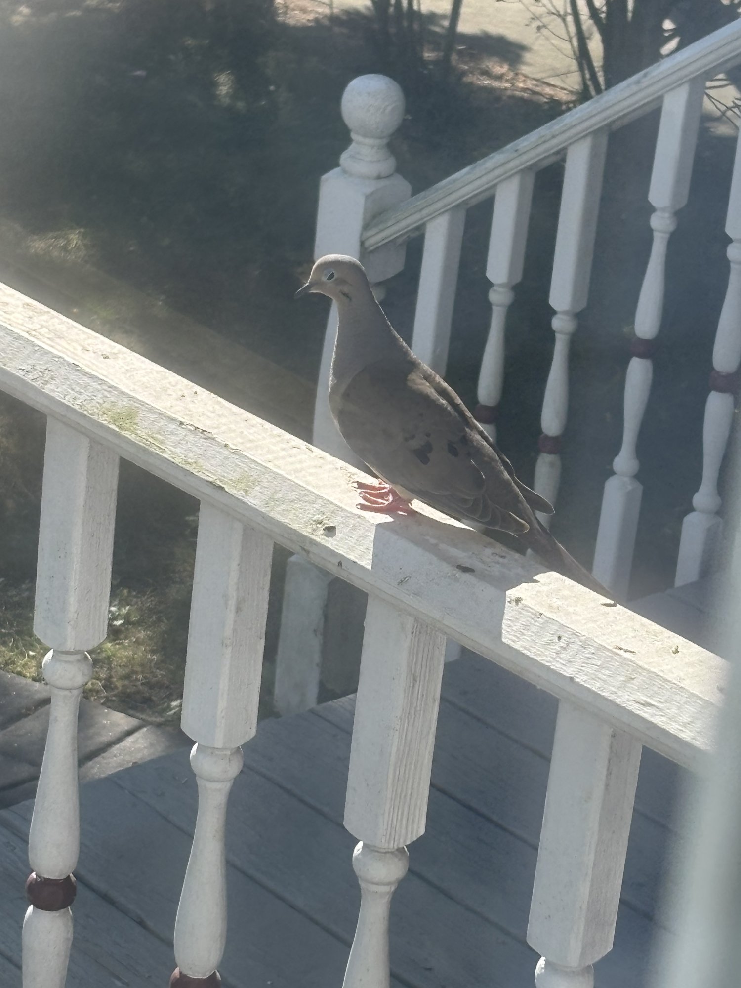 IMG_0591.jpeg