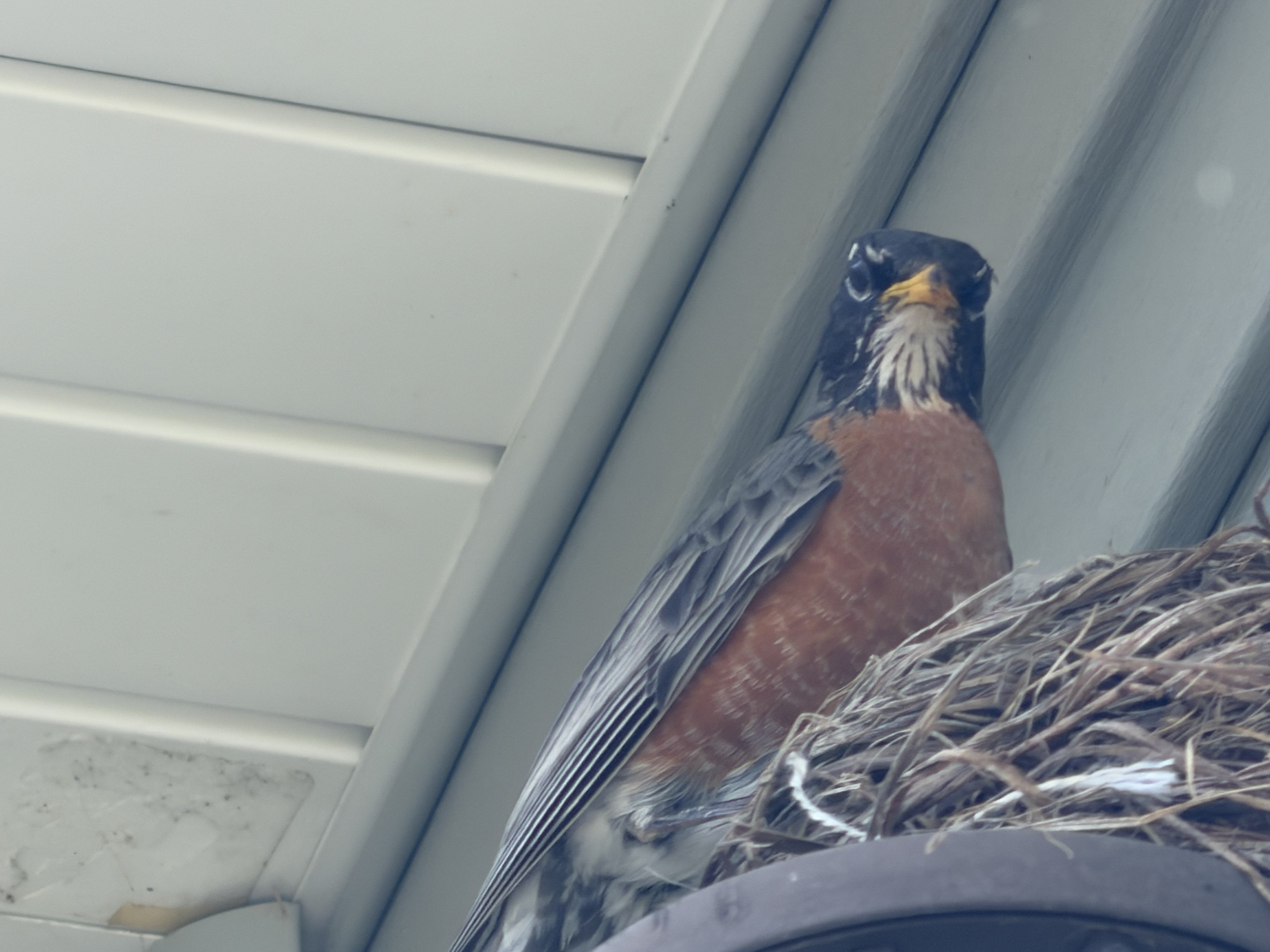 IMG_0613.jpeg