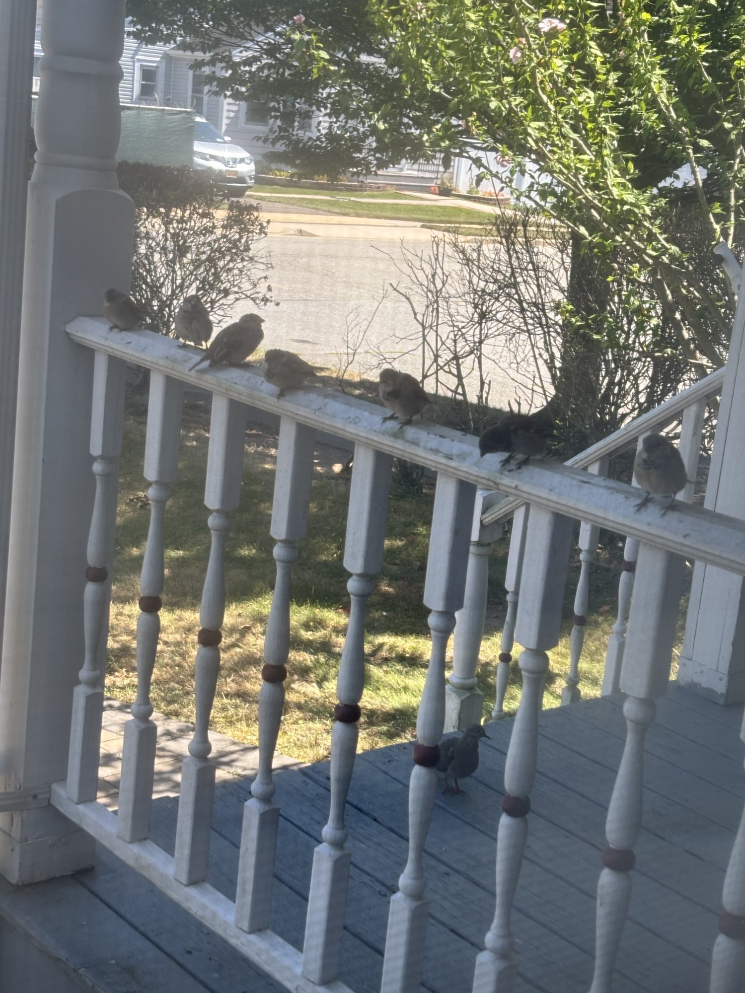 IMG_0635.jpeg