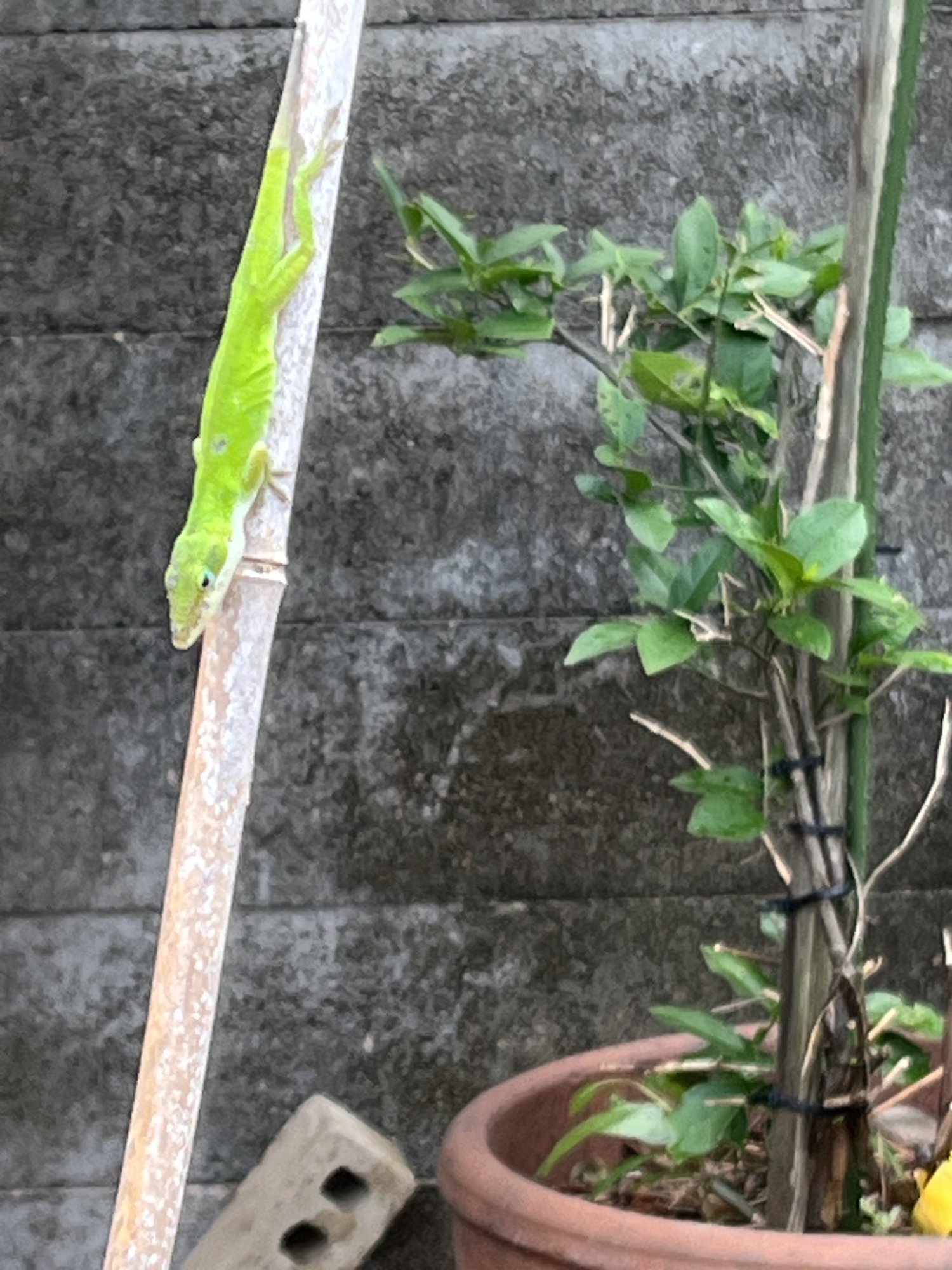 IMG_0637.jpeg