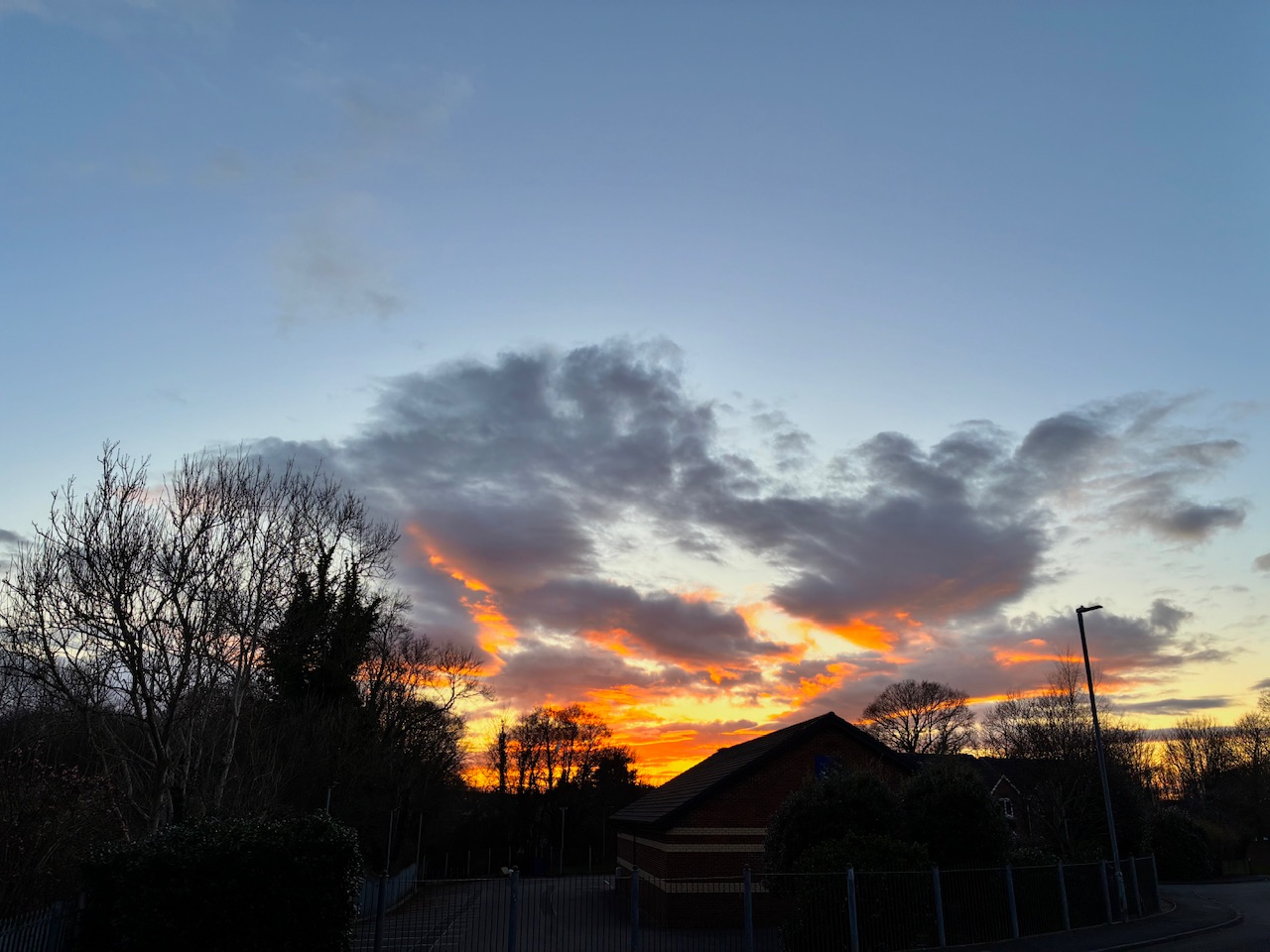 IMG_0660.jpeg
