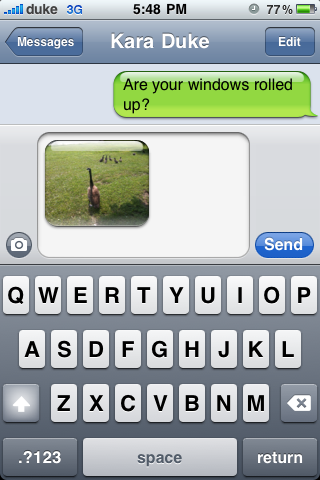 IMG_0663.PNG
