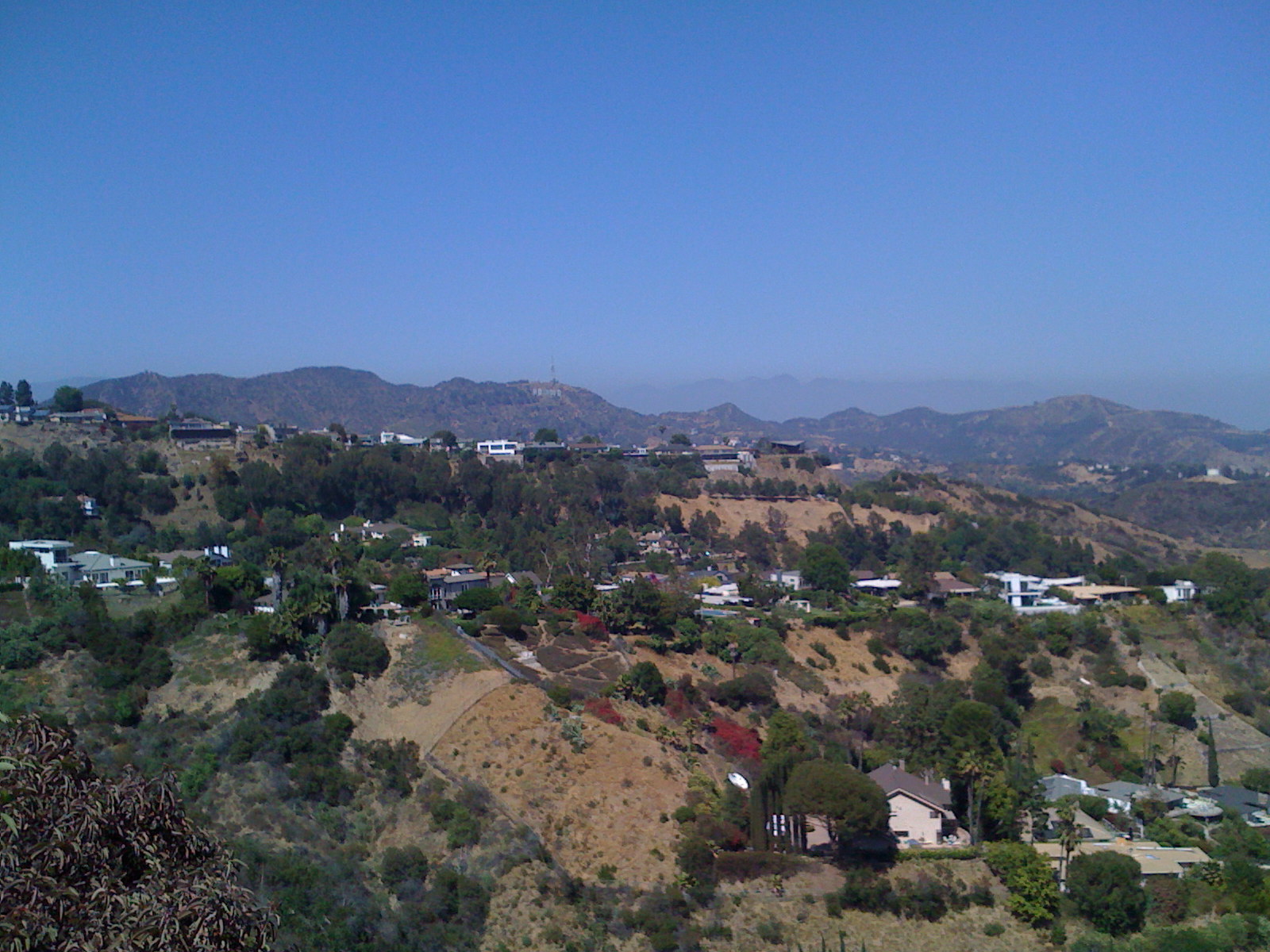 IMG_0666.JPG