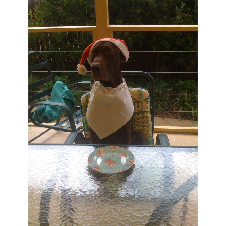 IMG_0696.png