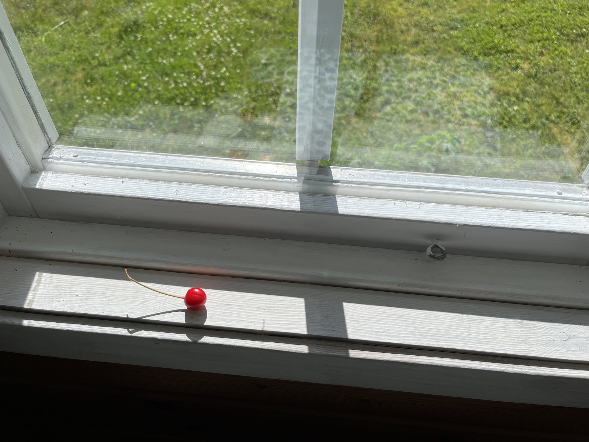 IMG_0706.jpeg