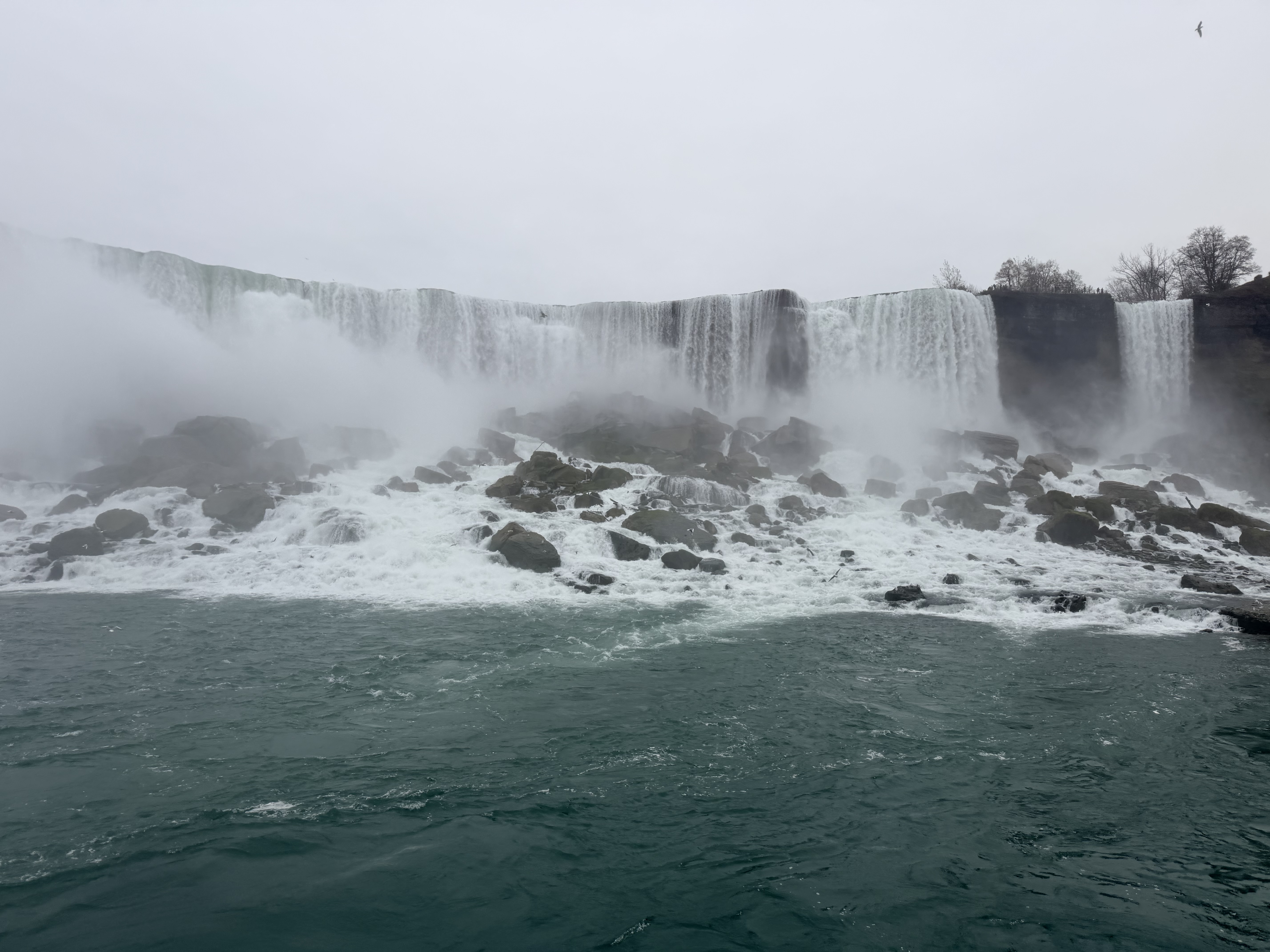 IMG_0725.jpeg