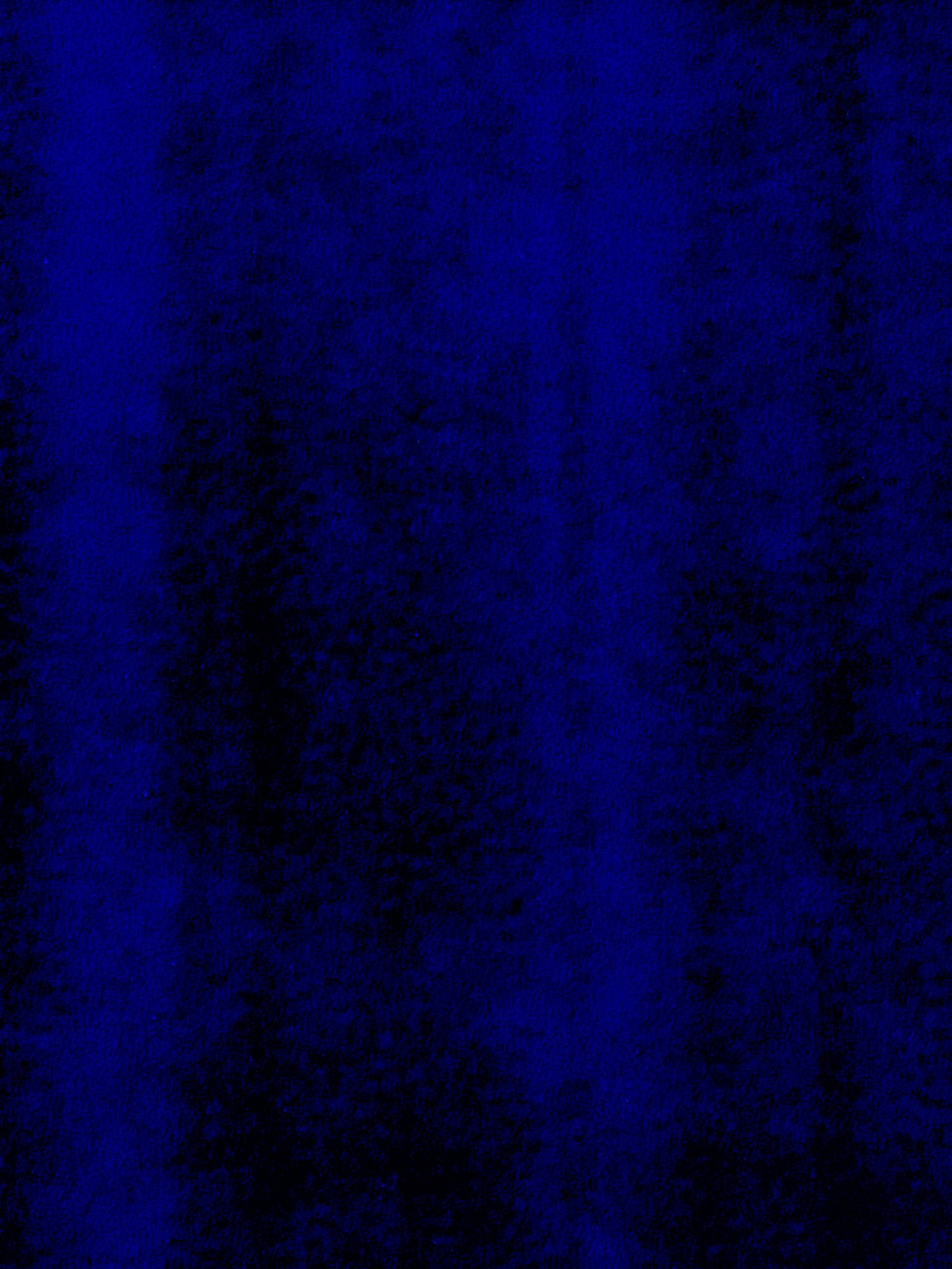 IMG_0781.jpeg