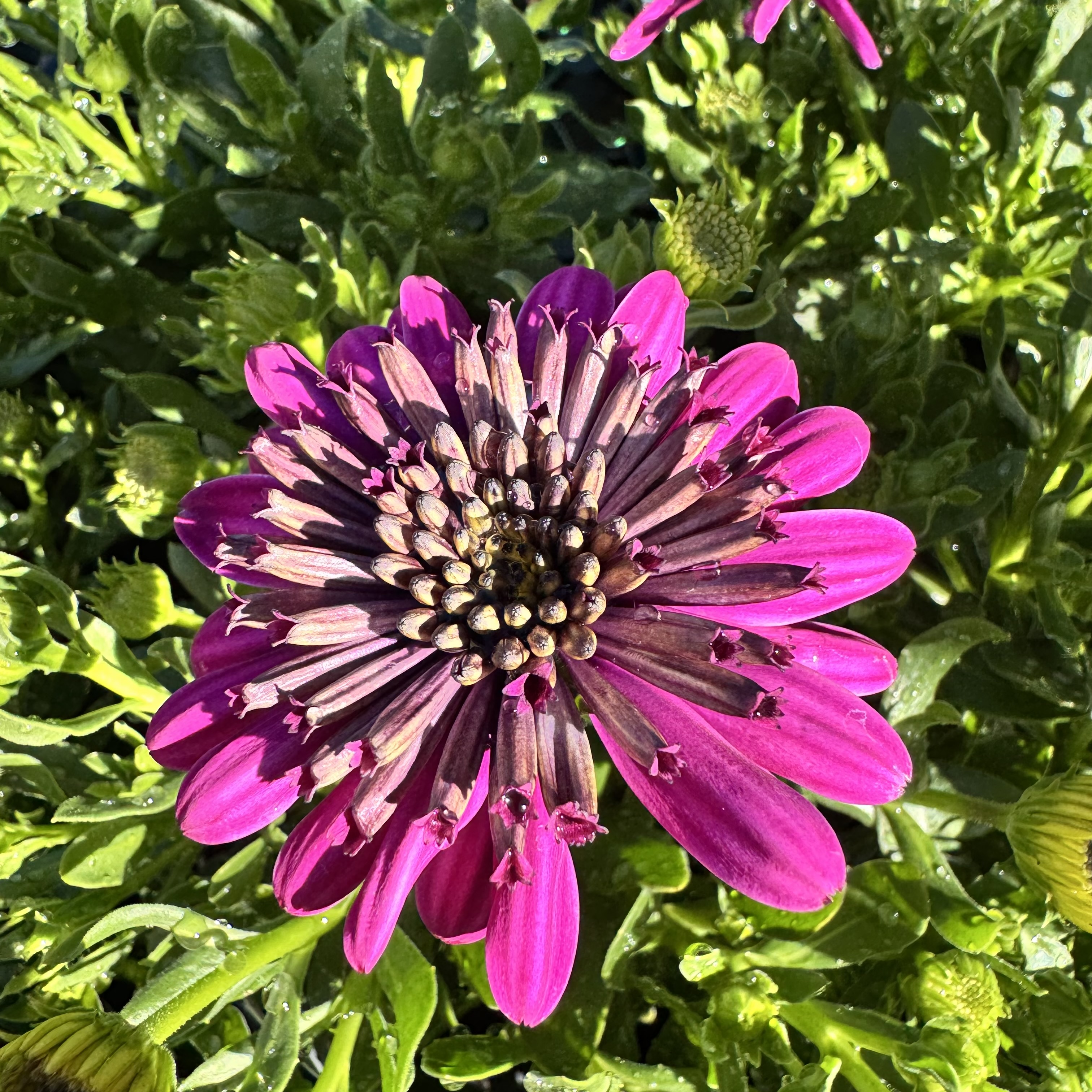 IMG_0788.jpeg