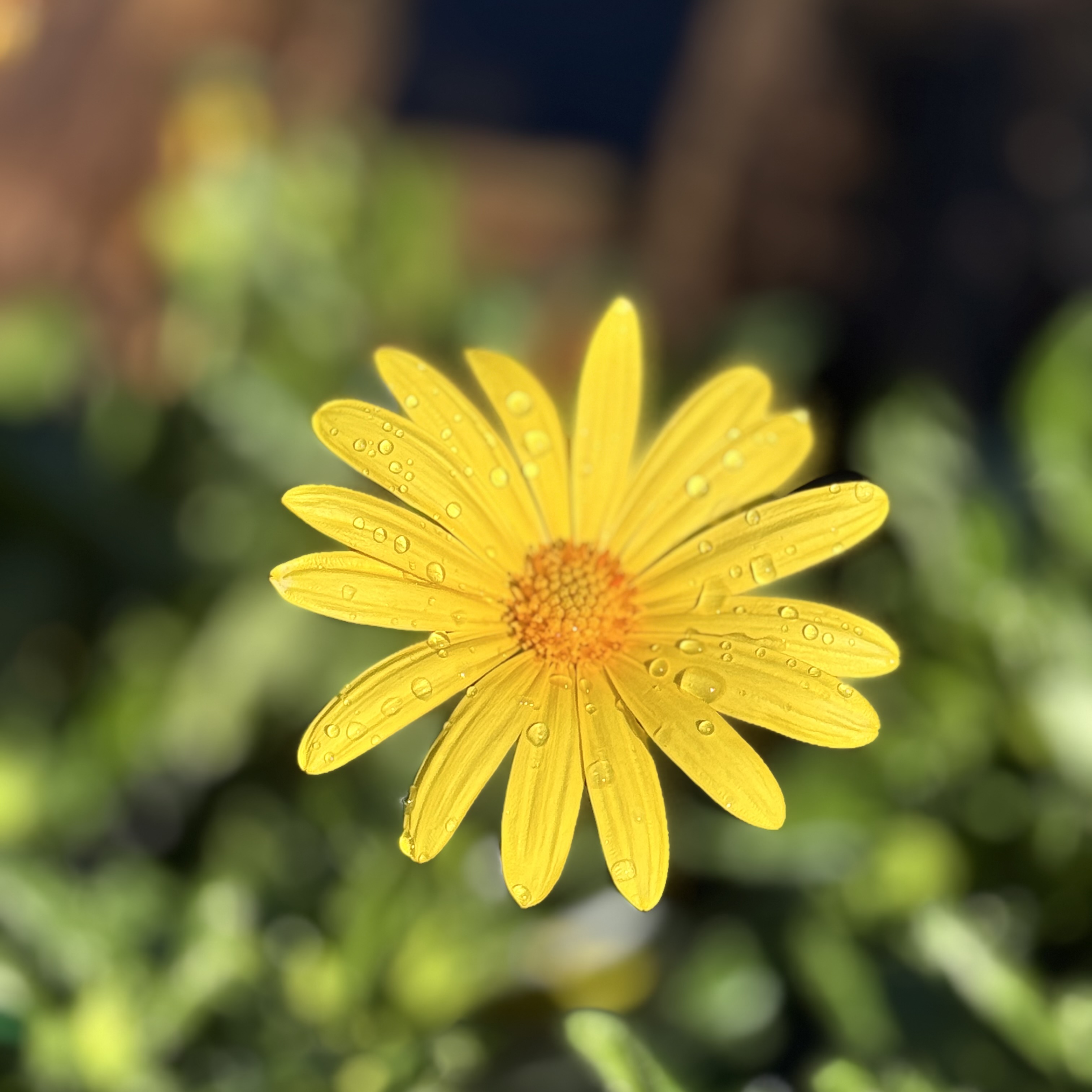 IMG_0789.jpeg