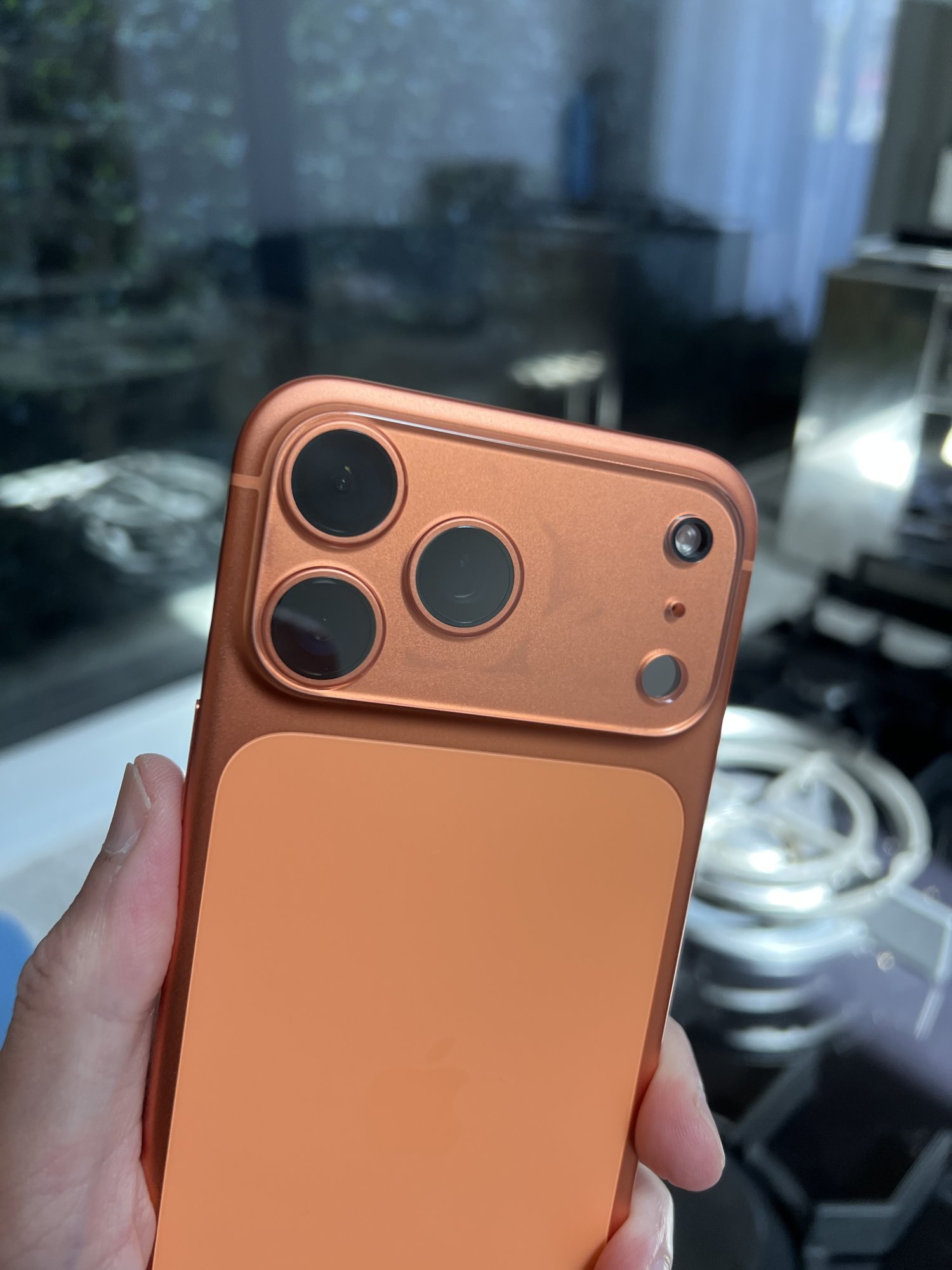 IMG_0804.jpeg
