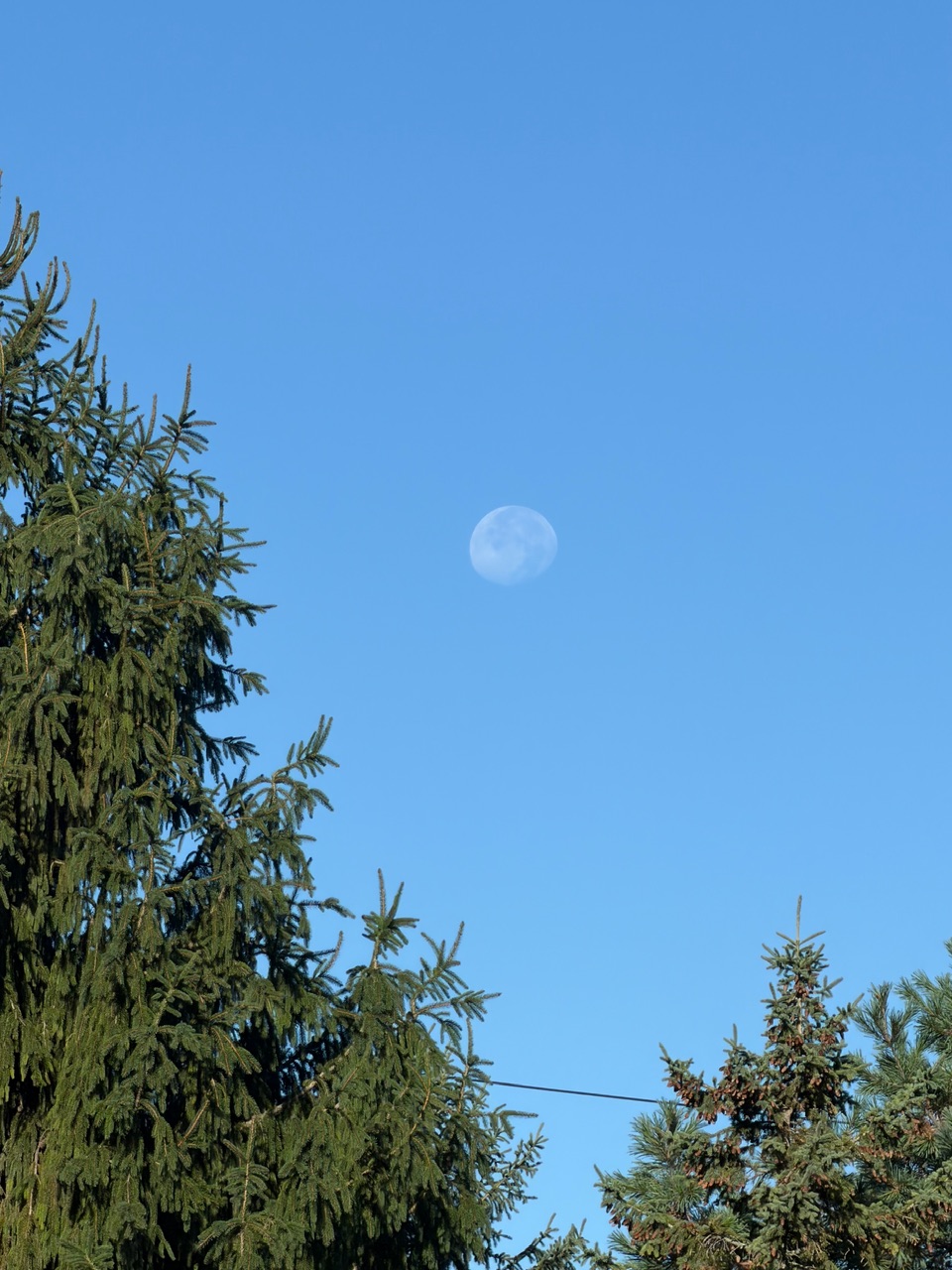 IMG_0810.jpeg