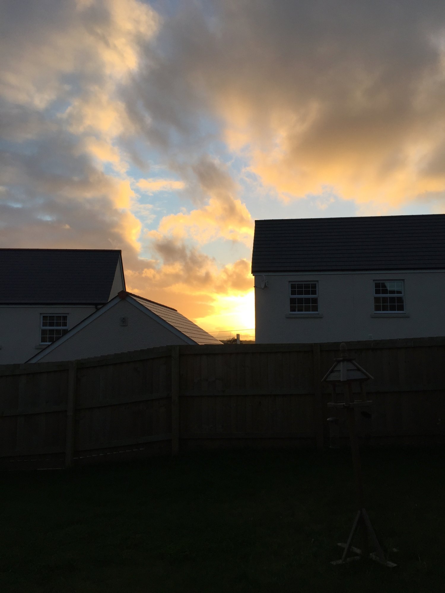 IMG_0818.jpeg