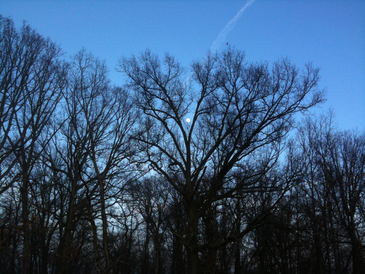 IMG_0830.jpg