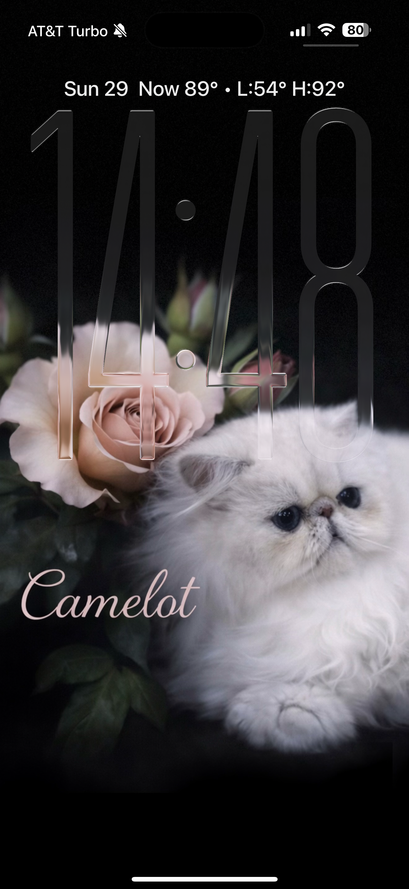 IMG_0831.png