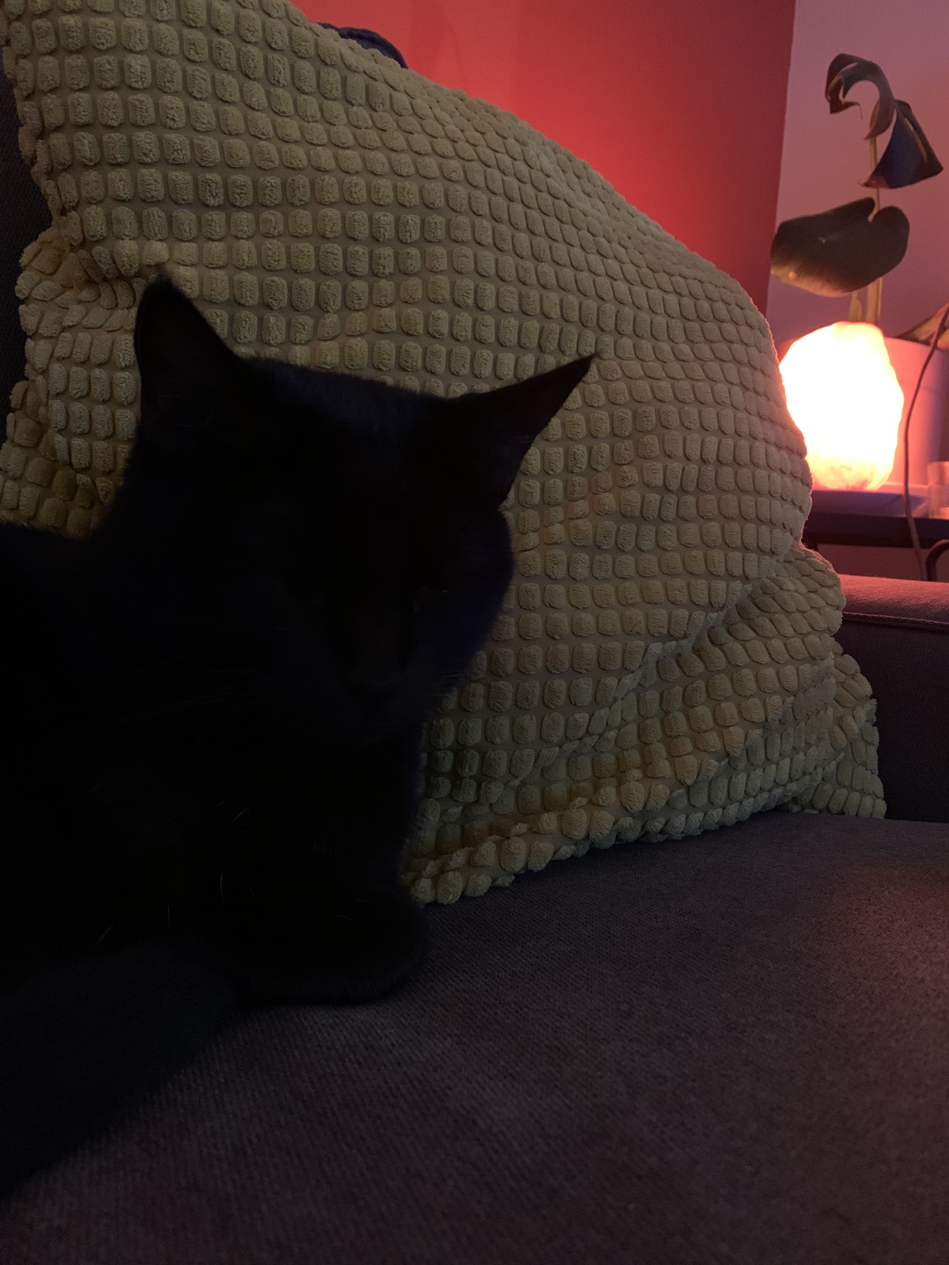 IMG_0902.jpeg